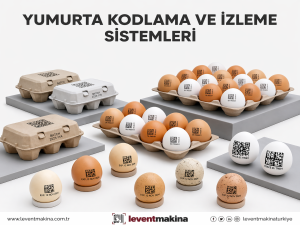 yumurta kodlama