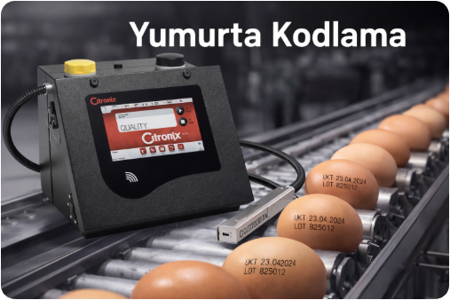 Yumurta Kodlama